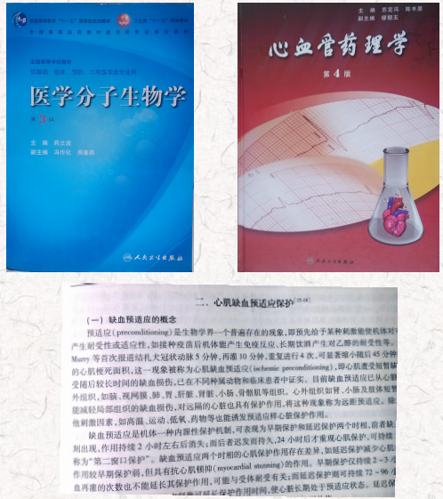 wechat_2025-10-16_171457_980.png