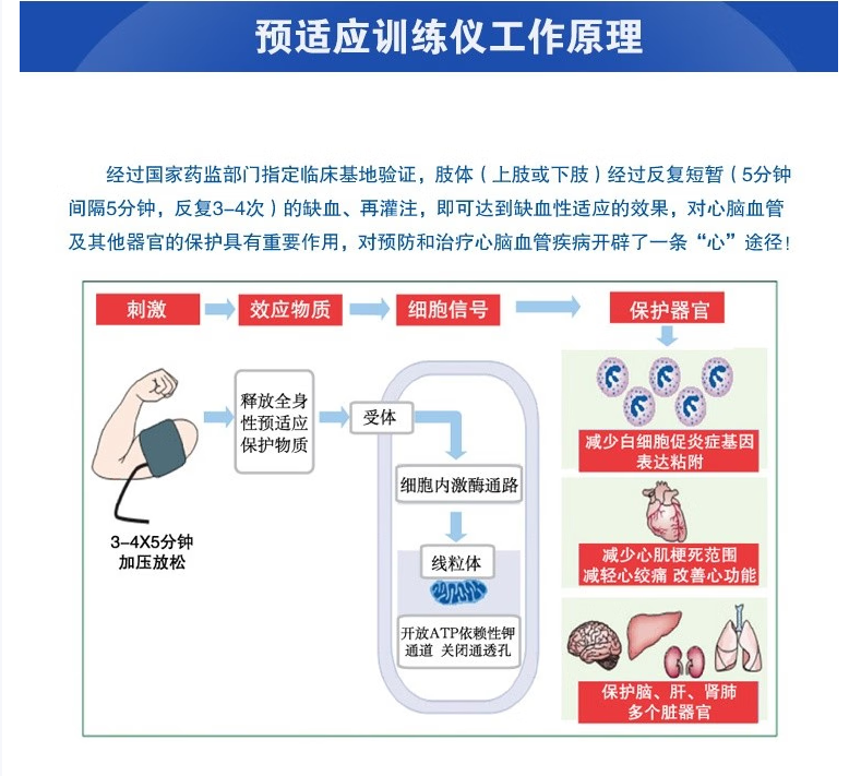 微信图片_20251013172505_94_2.png