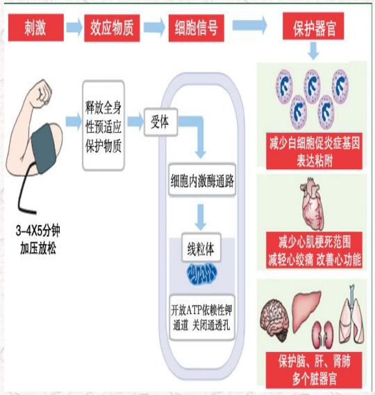 wechat_2025-10-16_164642_989.png