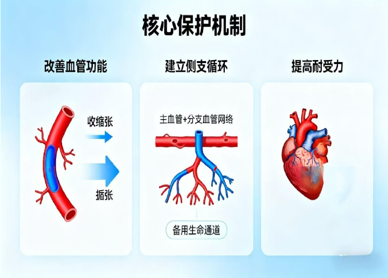 wechat_2025-10-17_162036_218.png
